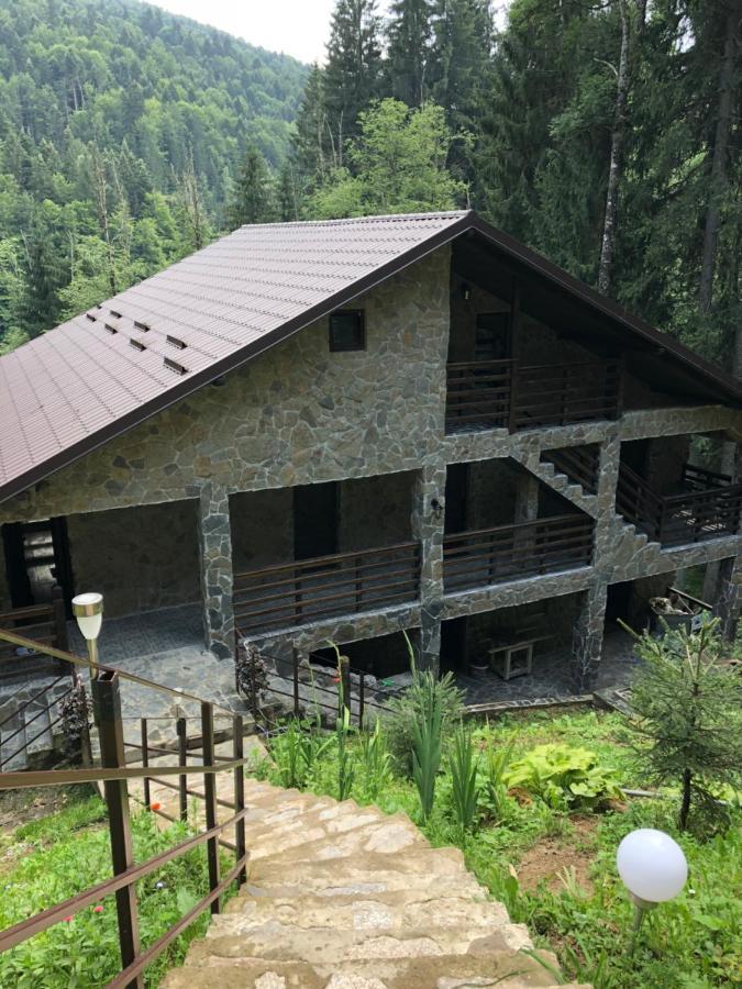 Cabana Zimbru Transfagarasan Arefu Exterior foto
